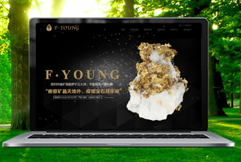 �㰲�������ﱦʯ